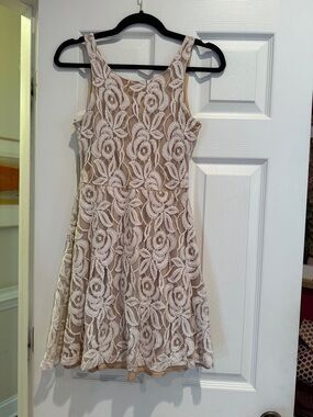 Philosophy Petite Lace Dress in Blush and Ivory